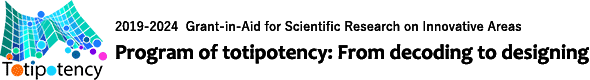 Program of totipotency: From decoding to designing